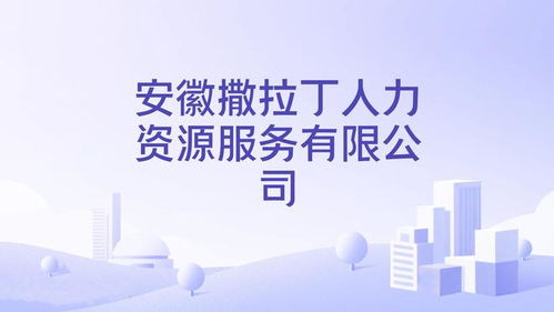 人力资源管理与企业服务 打造高效组织的双引擎